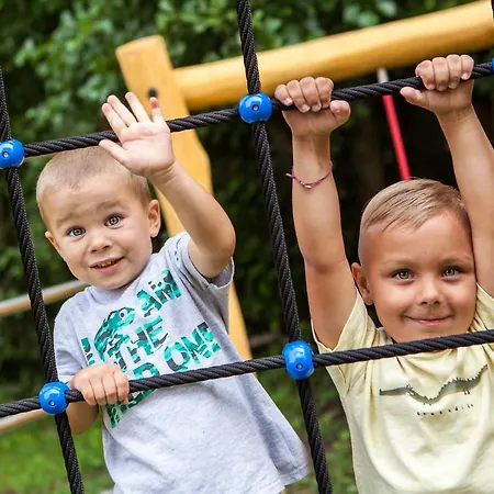 Pinus, Tále, Chopok Juh Tále