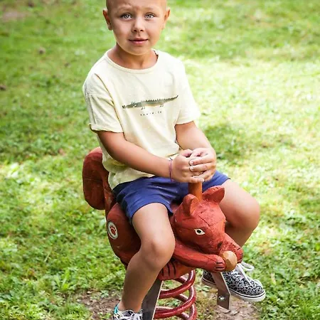 Pinus, Tale, Chopok Juh Apartment Tale