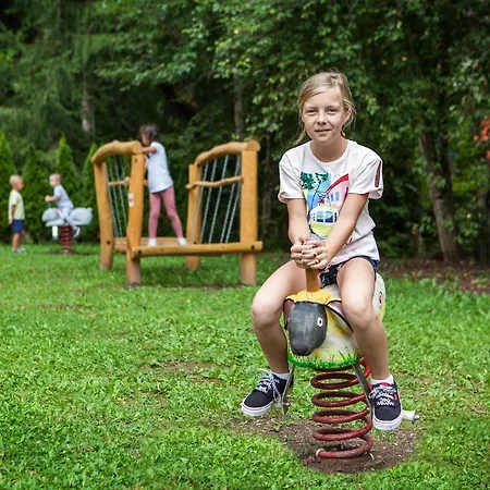 Pinus, Tale, Chopok Juh * Tale