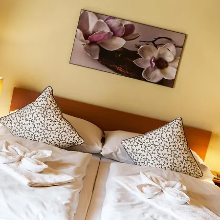 Pinus, Tale, Chopok Juh Apartment Tale