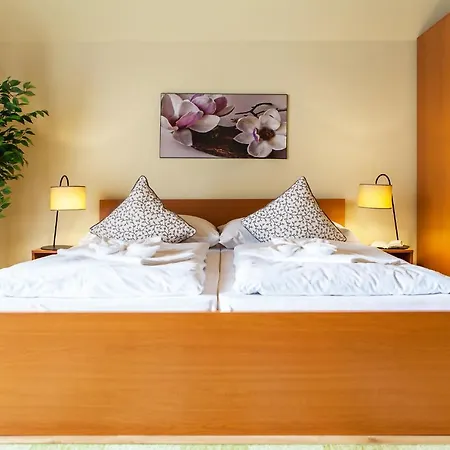 Pinus, Tale, Chopok Juh Apartment