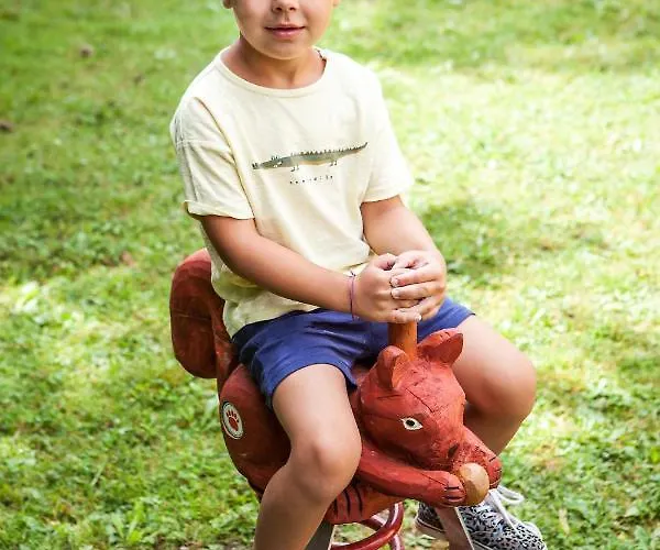 Pinus, Tale, Chopok Juh Apartment Tale